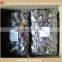 Golden oak mushroom lentinus edodes shiitake mushroom price
