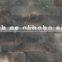 black lip mother of pearl shell laminate pinctada margaritifera veneer