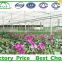 Vegetable Growing Intelligent Glass Greenhouse