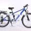 26inch Steel Frame Lithium Battery 36V 250W Electric Bicycle Cheap Electric Bike for Sale