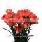 Natural carnation fresh flower cut price for birthday