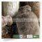Animal Luxury Faux Fur Cover plush hot water bottle cover