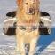Lovoyager Travel Pet Dog Backpack Harness for Large Dog