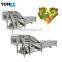 Industrial Fruit Vegetable Washing Machine With Air Bubble