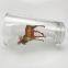 wholesale 16oz glass cup and beer glass with customized design