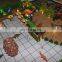 Dinosaur park architectural maquette for real estate & construction display with miniature people