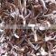 Sinocharm Healthy, fresh and delicious Frozen black fungus 20*20 mm China Frozen Silk Black Fungus