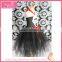 Orange and black pumpkin decorated chest braces gauze dress halloween costume                        
                                                                                Supplier's Choice