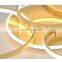 Gold Ceiling Lighting For Bedroom Indoor Lamps Parlor Foyer Lamp Modern Acrylic Ceiling LED Lamp