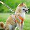 JRSGS Multifunctional D-Type Swivel Locking Carabiner, Rotating Carabiner Hook Clip for Dog Leash, Hammock, Camping, Hiking