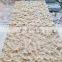 Shandong  beige sandstone floor tiles beige sandstone wall tiles