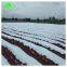 Agriculture Black/Silver Greenhouse Plastic Mulch Film for Vegetables