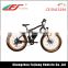 500w the electric bike cruiser bike