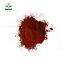 30000 SHU Hot Chili Powder 100% Natural Red color
