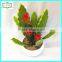 25cm high quality real touch names of cactus plants