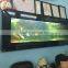 Wall Mounted Aquariums - Standard Contemporary Wall Aquarium