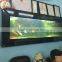 Wall hanging aquarium,Wall monted fish tank