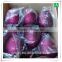 Plating gold plastic vacuum formed xmas decorative ball                        
                                                Quality Choice