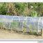 UV resistant transparent PE plastic sheet for Tunnel
