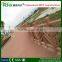 WPC decking for swimming pool composite decking with crack-resistant deck