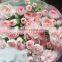 Fresh Cut Flowers Natural Carnation/red/pink/white/yellow/champane Colors