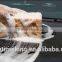 car wash sponge car sponge car polish sponge