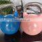 Pro-Grade competition kettlebell-High quality
