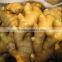 BEST PRICE VIETNAM FRESH GINGER