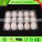 Thermoforming blister plastic egg packs make in China