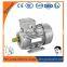Three phase AC Electric Motors