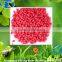 premier PE / PP / PS / ABS / PVC/PC / PA / PBT / PU / EVA plastic color masterbatch