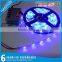 Chinese exports addressable led strip products imported from china