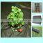 Agriculture Nonwoven Fabric For Weed Control
