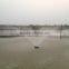 Good performance China hot sale fish farming aerator