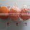 Concrete Pump Pipe Cleaning Sponge Ball