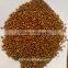 feed sorghum price is very competitive