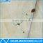 2016 New Fashion Frameless Extend Glass Shower Door
