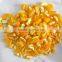 corn polishing machine