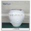 Dry flower vase wavy vase fish in water flower pot
