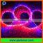 DC12V programmable rgbw IC built in LED strip light