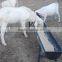 goat farm equipment plastic round bottom livestock feed trough