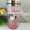 travel 450ml stainless steel mug/thermal mug with handle