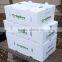Stackable nestable corrugated plastic boxes for fruit or vegetable