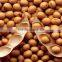 soy protein Isolated