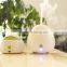 Elegant humidifier / mini usb humidifier air diffuser / USB powered mini humidifier