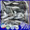 Frozen Round Scad Best Price Of Frozen Round Scad Mackerel Fish