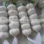 2013 crop natural garlic ,good quality new garlic