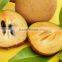 Natural Sapodilla Powder