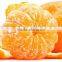 New crop fresh mandarin orange with good quality and cheaper price