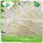 Edible white fresh enoki mushrooms